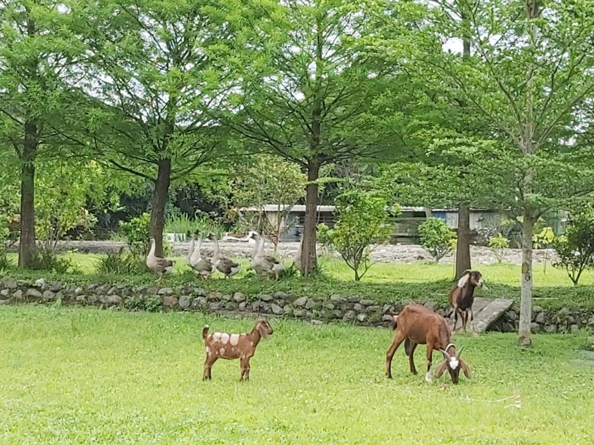Meihua Lake Leisure Farm 둥산 외부 사진